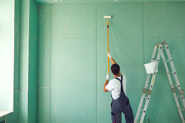 Best Biohazard Mold Removal  in Sterling Heights, MI