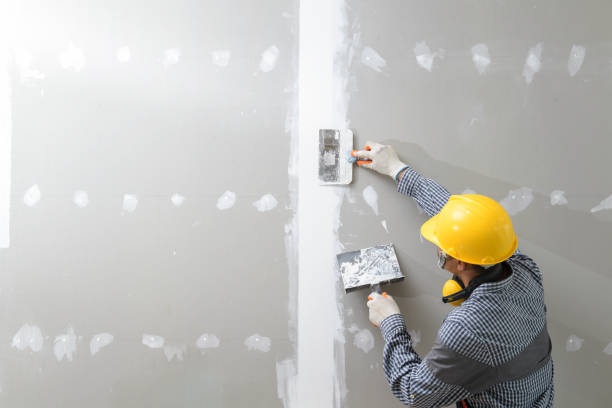 Biohazard Mold Removal in Sterling Heights, MI