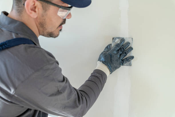 Mold Removal for HVAC Installations in Sterling Heights, MI