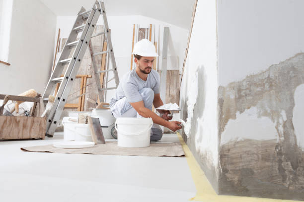 Best Forensic Mold Investigation  in Sterling Heights, MI