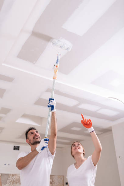 Best Air Quality Testing for Mold Spores  in Sterling Heights, MI
