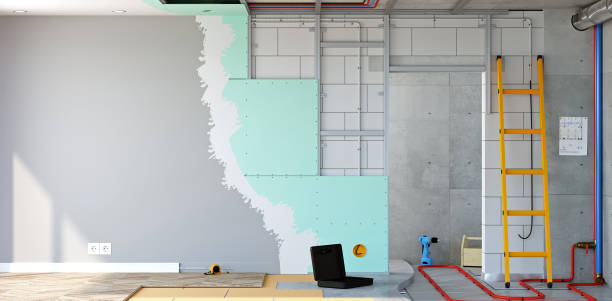 Trusted Sterling Heights, MI Mold Removal Experts