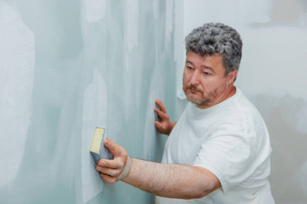 Best Commercial Mold Inspection  in Sterling Heights, MI