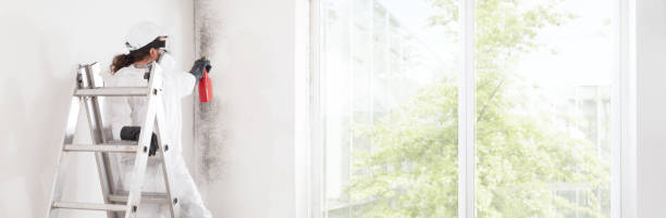 Best HVAC Mold Inspection and Cleaning  in Sterling Heights, MI