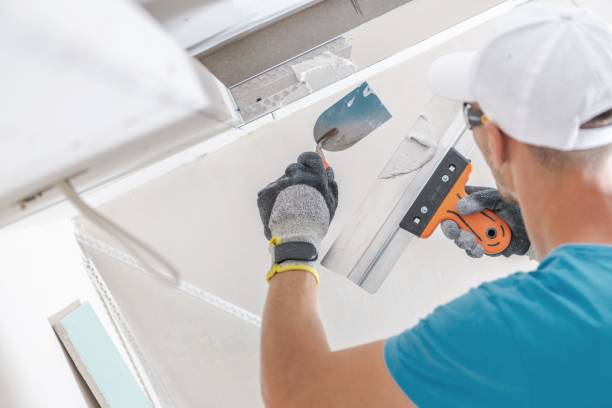 Best Comprehensive Air Testing for Mold Contaminants  in Sterling Heights, MI